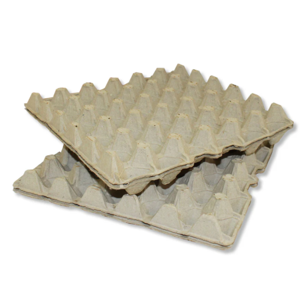 Egg Tray