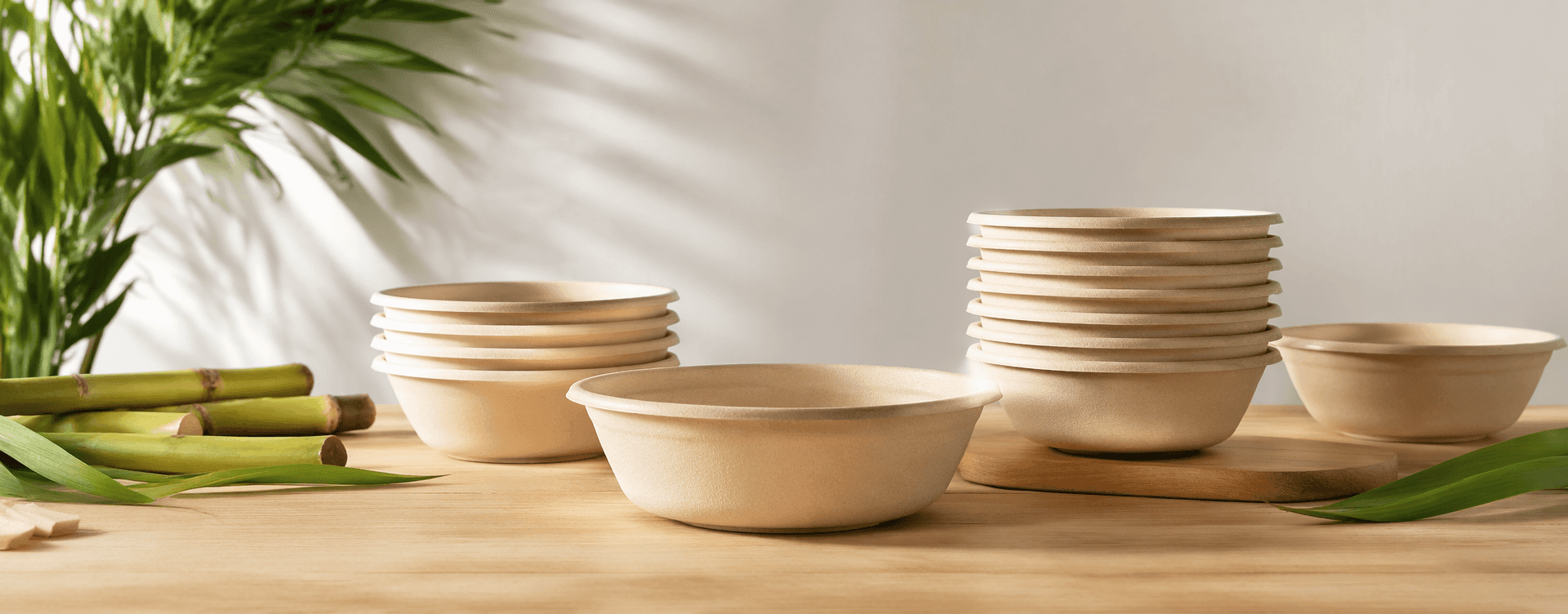 Custom Bagasse Bowls for Sustainable Foodservice Packaging