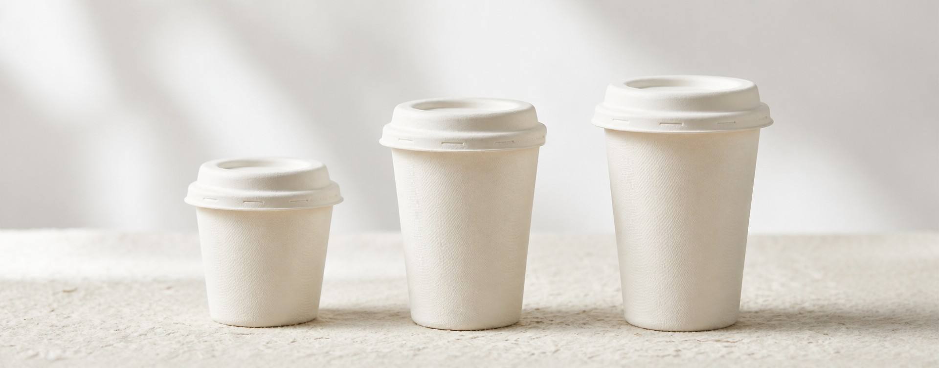 Bagasse Coffee Cups Size Guide