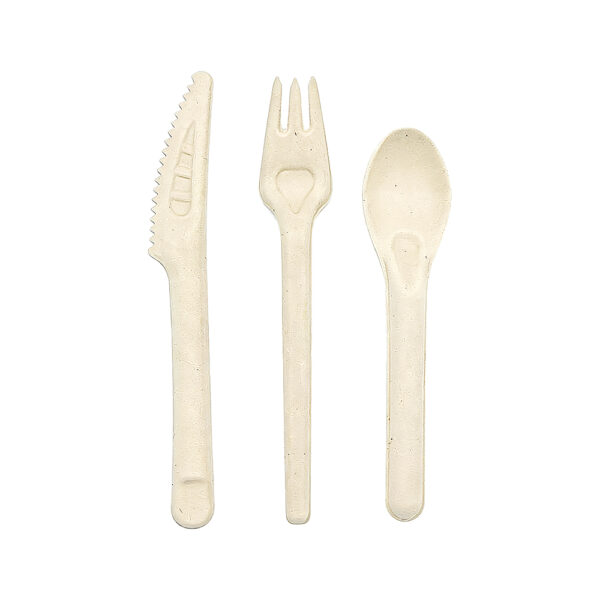 Bagasse Cutlery