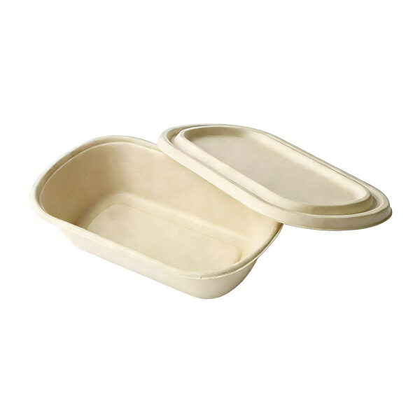 Light Food Container