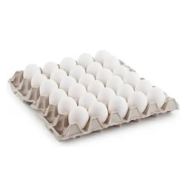 Egg Tray