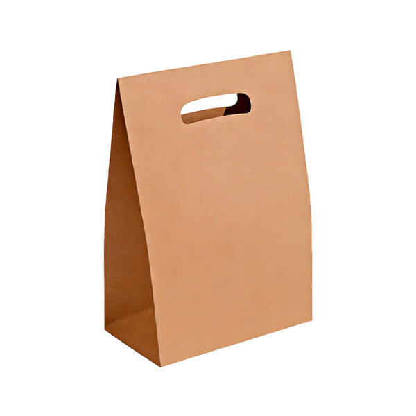 Takeaway Bag