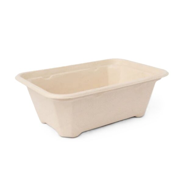 Food Container