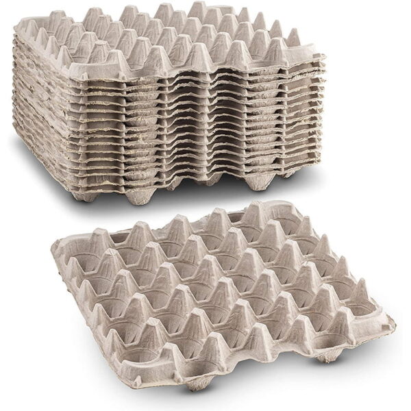 Egg Trays
