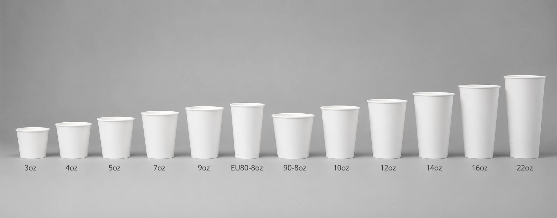Paper Coffee Cup Size Guide