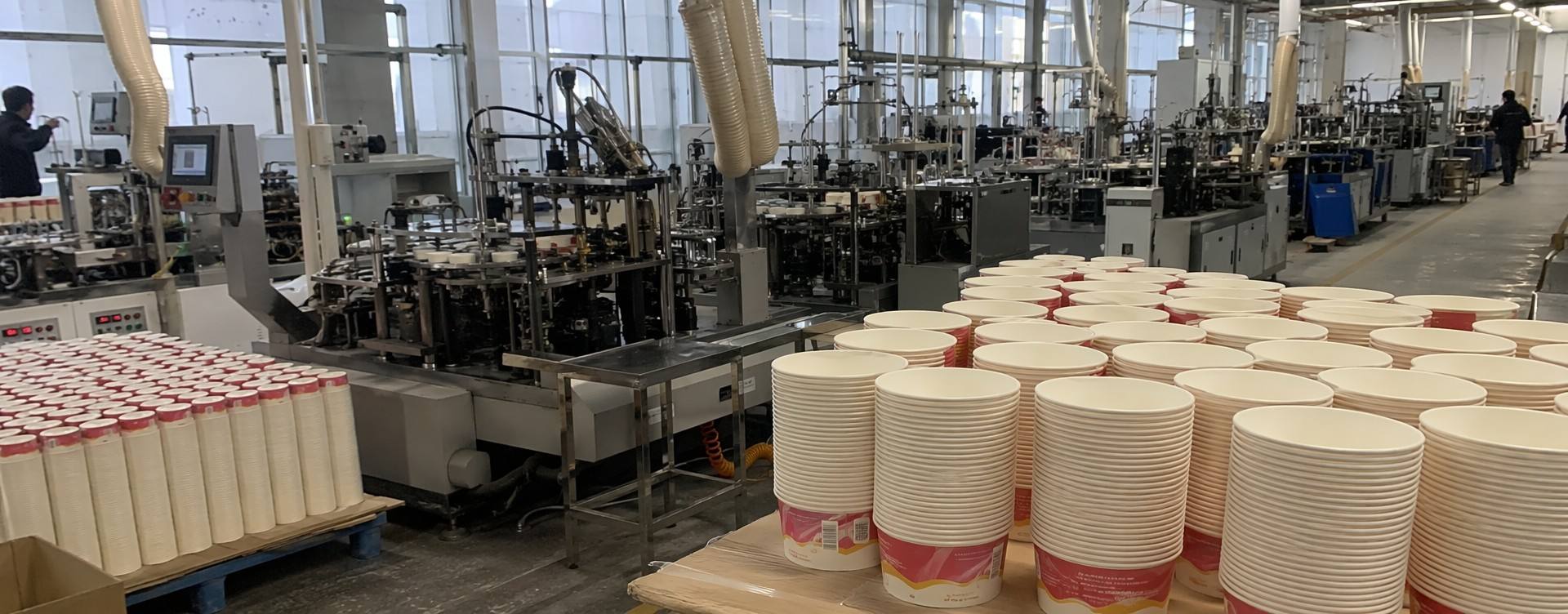 DAILYECO Paper Ice Cream Cup Manufacturing Facility