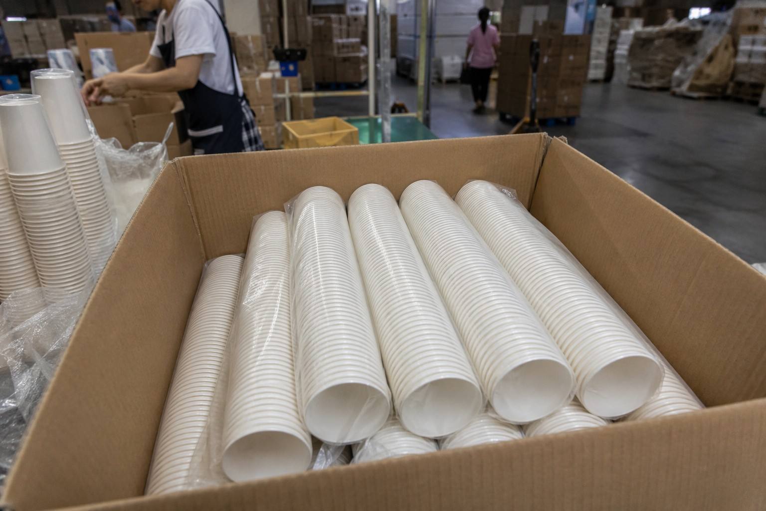 DAILYECO Paper Coffee Cup Manufacturing Facility