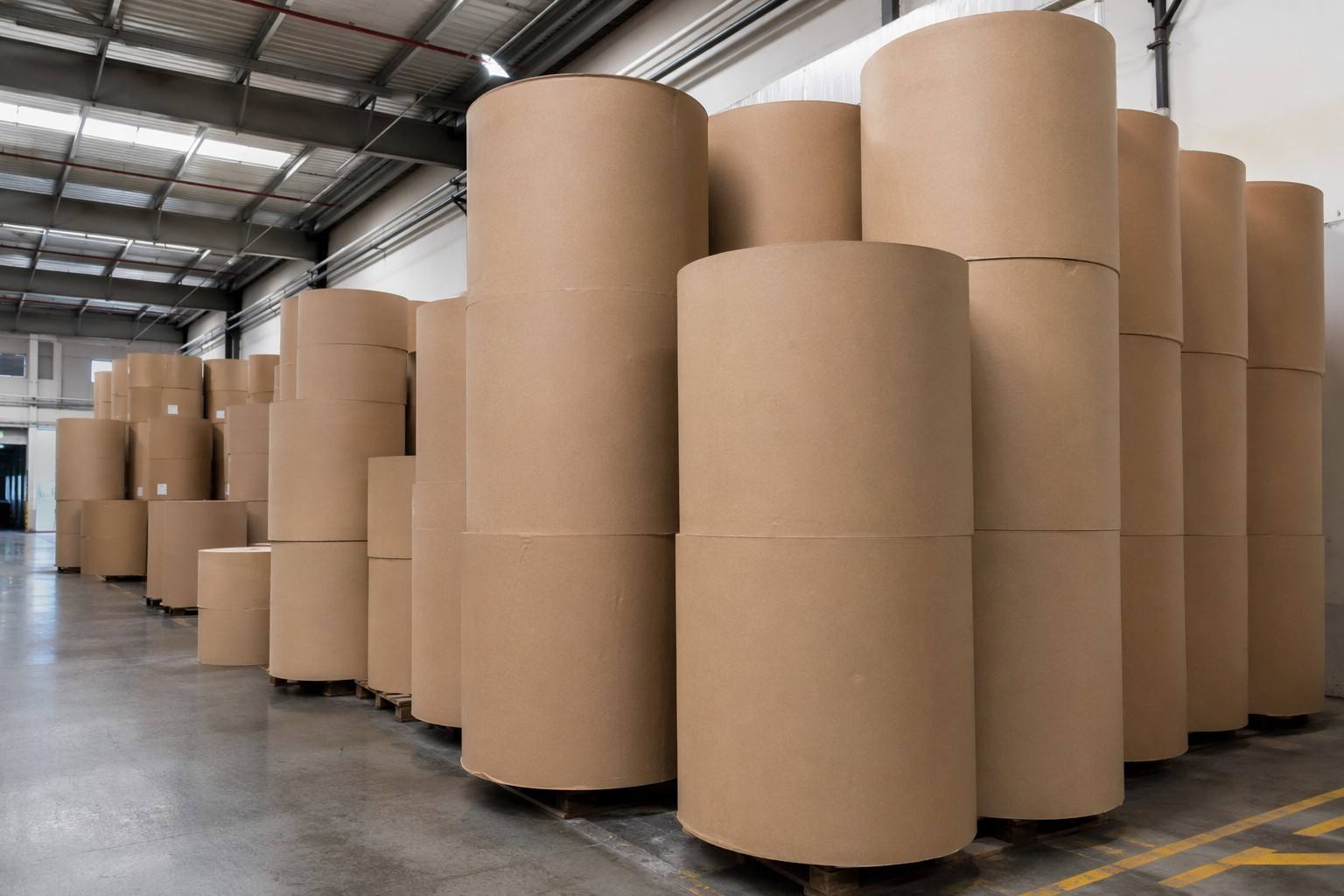 Food-Grade Paperboard Selection for Paper French Fry Cups