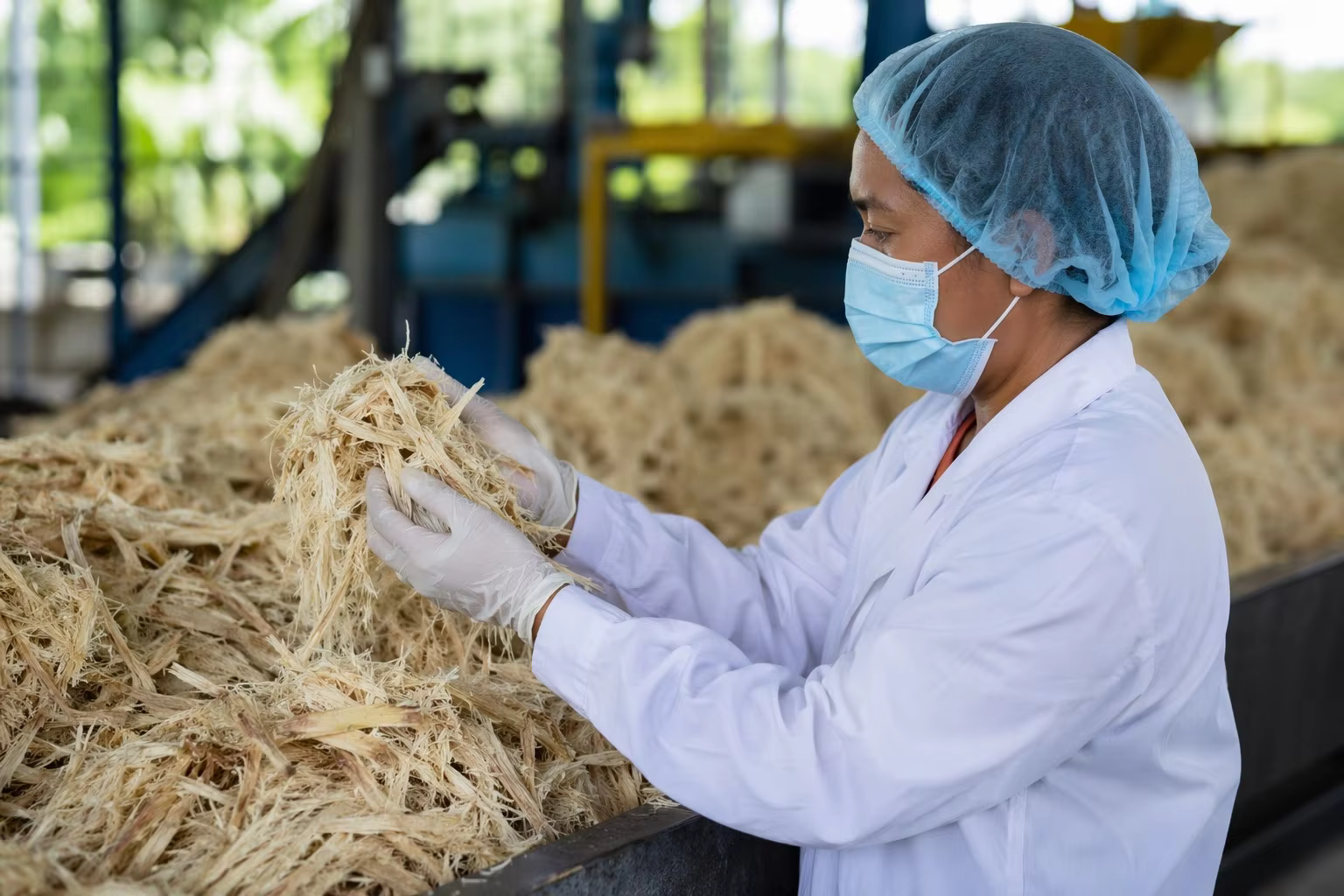 Sugarcane Fiber Material for Compostable Paper Plates Manufacturing