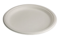 9” Large Plate