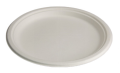 10” Plate