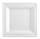 6” Square Plate