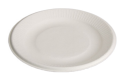 6” Plate