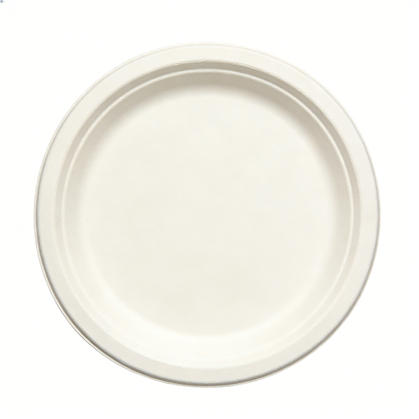 Bagasse 9" Plate
