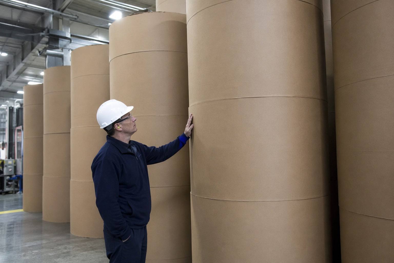 Food-Grade Paperboard Inspection