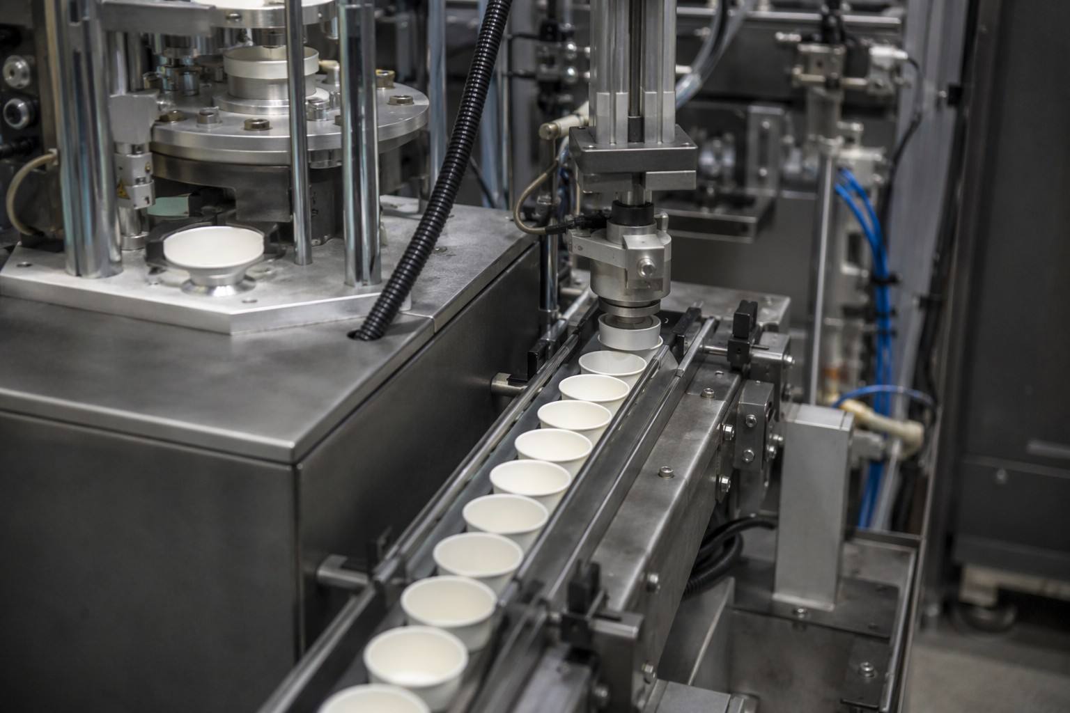 Paper Sauce Cup Forming Process